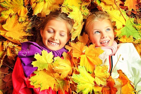 Akçaağaç yaprağı düşmek