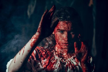 Kana bulanmış korkmuş masum bir kızın portresi kendini ellerle kaplanmış bir canavardan korumaya çalışıyor. Karanlık, kasvetli kale geçmişi. Korku, gerilim. Cadılar Bayramı. Vampirler..