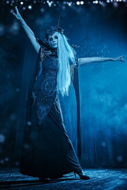 Kara Kraliçe, Cadı. Uzun gri saçlı, görkemli ve güzel bir kadının portresi, zengin bir başlık ve karanlık bir kalede muhteşem siyah bir elbise içinde poz veriyor. Cadılar Bayramı.