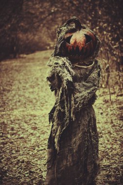 Kafasında bir balkabağı kafasında ve çuval bezi bornozuyla balkabağı fenerinin hayaleti Cadılar Bayramı arifesinde ormanda gezinir. Cadılar Bayramı Masalları. Korku, gerilim.