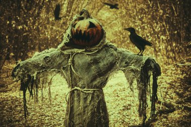 Kafasında bir balkabağı, elinde çuval bezi bir bornozla elinde siyah bir kuzgunla sık bir ormanda duran korkunç bir balkabağı hayaleti. Korkuluk. Cadılar Bayramı Masalları. Korku, gerilim.