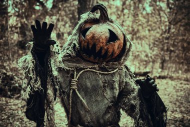 Kafasında bir balkabağı kafasında ve çuval bezi bornozuyla balkabağı fenerinin hayaleti Cadılar Bayramı arifesinde ormanda gezinir. Cadılar Bayramı Masalları. Korku, gerilim.