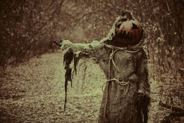 Kafasında bir balkabağı ve bir çuval bezi bornoz ile Jack-o '-fener hayalet elini uzatır, karanlık sık ormana davet. Cadılar Bayramı Masalları. Korku, gerilim.