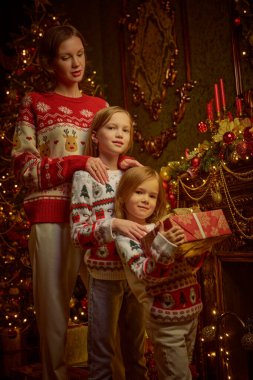 Güzel anne ve tatlı kızları Noel 'i sıcak bir aile ortamında kutluyorlar. Yanıp sönen ışıklarla donatılmış güzel bir oda. Mutlu Noeller aile.. 
