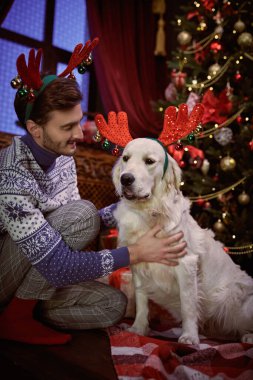 Mutlu sahibi ve evcil hayvanı. Neşeli genç adam ve evcil köpeği Noel 'i güzel, rahat bir odada Noel ağacının yanında oturarak kutluyor..