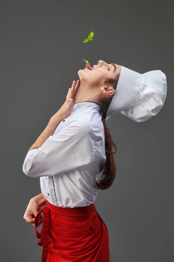 Profesyonel bir aşçının resmi. Üniformalı ve şapkalı. Gri bir stüdyo arka planında maydanoz tadıyor. Yemek ve yemek.. 