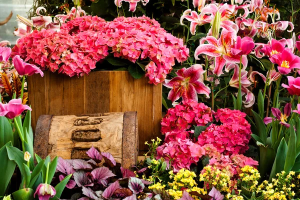 Hermoso jardín de flores fondo —  Fotos de Stock