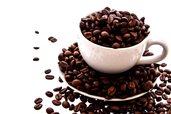 Coffee cup and beans on a white background. — Stock Photo, Image