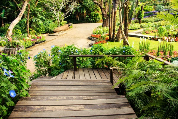 Paisajismo en el jardín — Foto de Stock