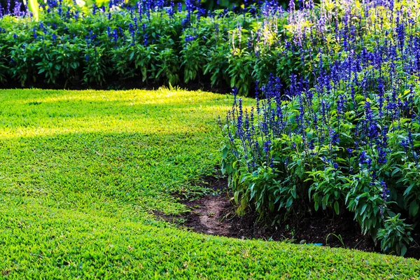 Paisajismo en el jardín — Foto de Stock