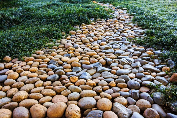 Bahçede peyzaj.