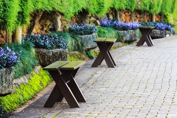 Bench in Beautiful park with pathway — Stock Photo, Image