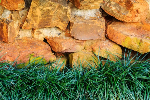Erba fresca verde su sfondo di pietra — Foto Stock