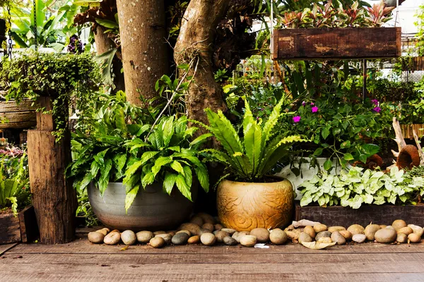 Garden design — Stock Photo, Image