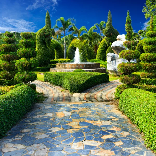 Landscaping in the garden design. — Stock Photo, Image