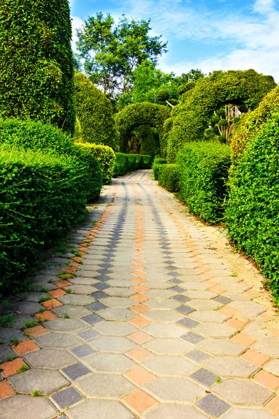 Camino en el diseño del jardín . — Foto de Stock