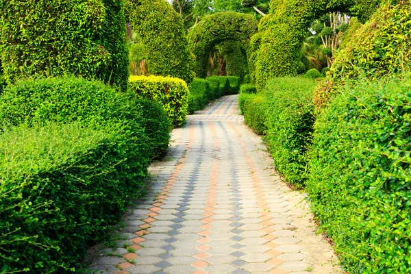 Percorso nel disegno del giardino . — Foto Stock