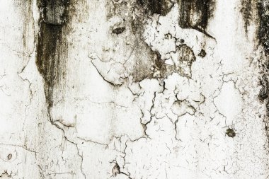 soyut çatlamak grunge duvar arka plan.