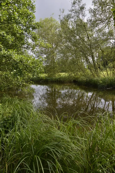 Vallée des flèches — Photo