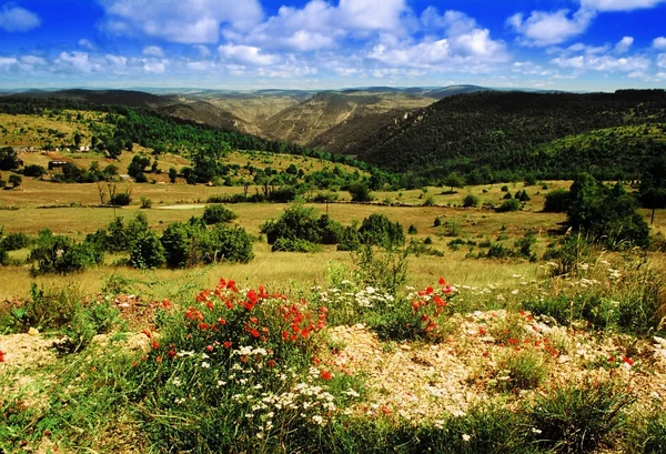 Cevennes — Stock Photo, Image