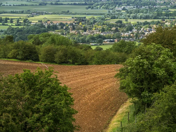 Veld — Stockfoto