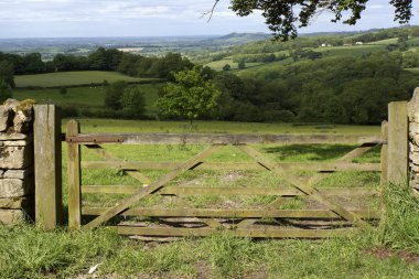 Tarlaların ve tarlaların ortasında bir çiftlik.