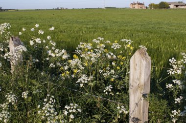 hükümdarlar yol uzun mesafe patika tardebigge görünümlerinden worcestershire