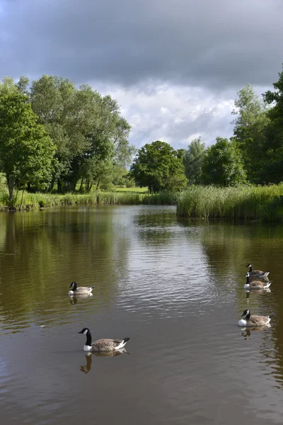 Vallée des flèches — Photo