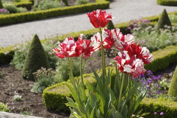 Hanbury hall — Stock Photo, Image