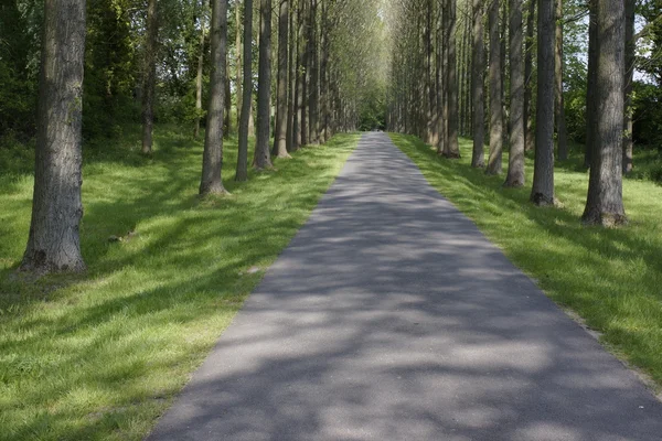 Campo camino umberslade warwickshire campos granja tierras — Foto de Stock