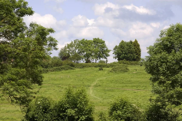 Veld — Stockfoto