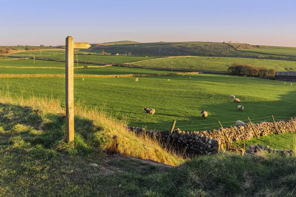 Peak district — Stock Photo, Image