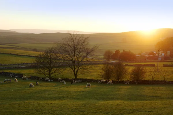 Peak district — Stock Photo, Image