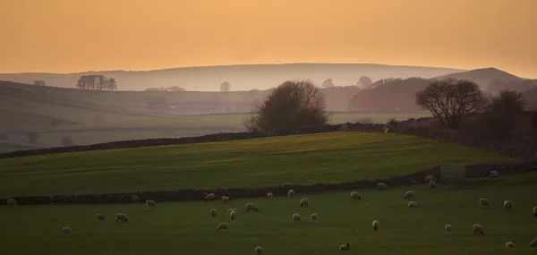 Peak district — Stock Photo, Image