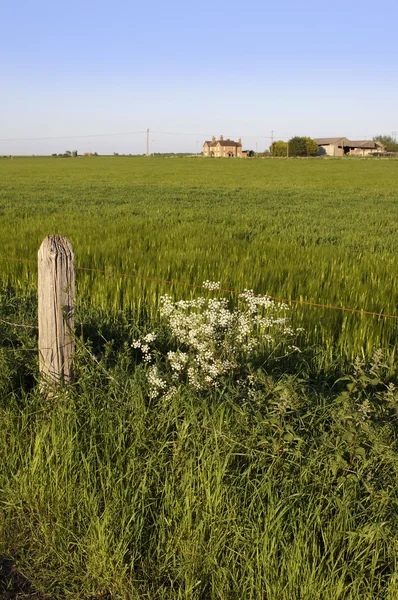 Uitzicht vanaf de vorsten manier interlokale voetpad tardebigge worcestershire — Stockfoto