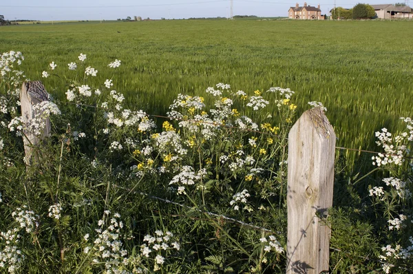 View from the monarchs way long distance footpath tardebigge Worcestershire — стоковое фото