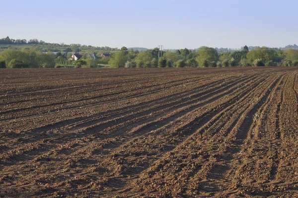 Farmland earth sky skies fallow ploughed field — Stock Photo, Image