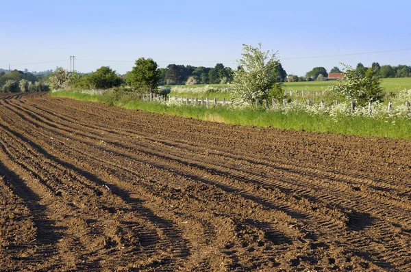 Terra agrícola céu céu céu pousio arado campo — Fotografia de Stock