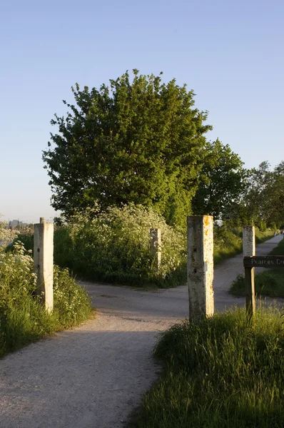 Bauernhof inmitten von Ackerland — Stockfoto