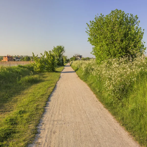 Grüner Weg — Stockfoto