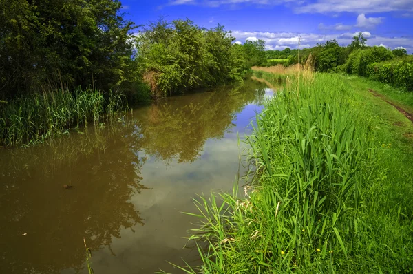 River — Stock Photo, Image