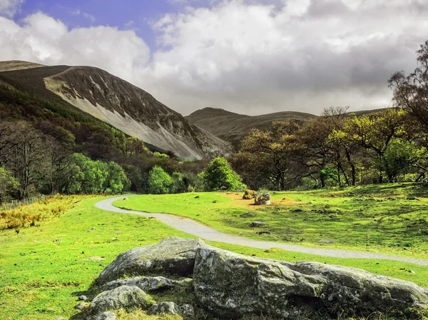 Road — Stock Photo, Image