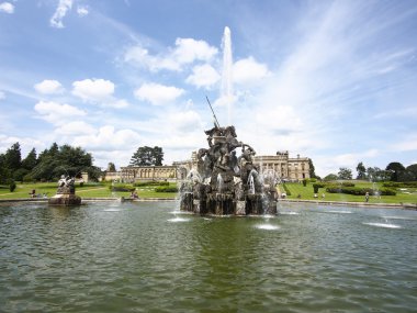 Witley mahkeme