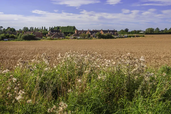 Dorp — Stockfoto