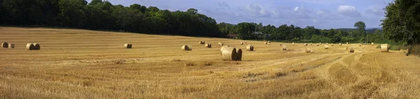 Hay bags — 图库照片