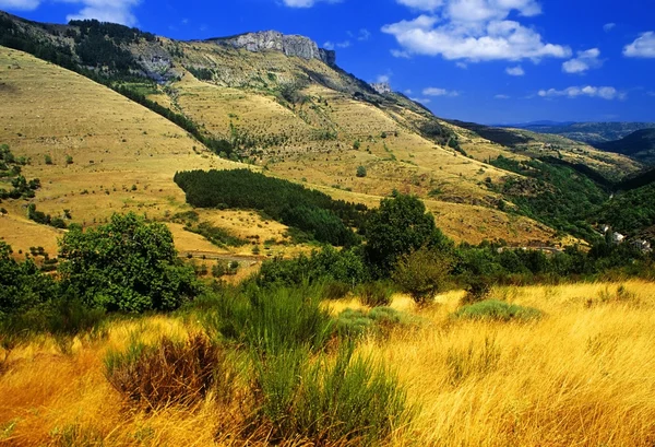 Cevennes - Stock-foto