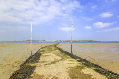 Thames Haliç