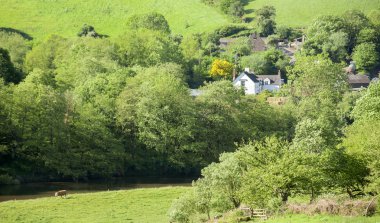 Wye valley