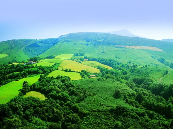 Платить Басків — стокове фото