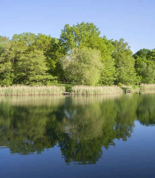 Lake — Stock Photo, Image